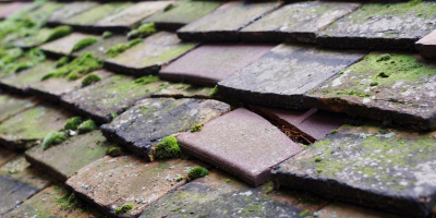 Llanynghenedl roof repair costs